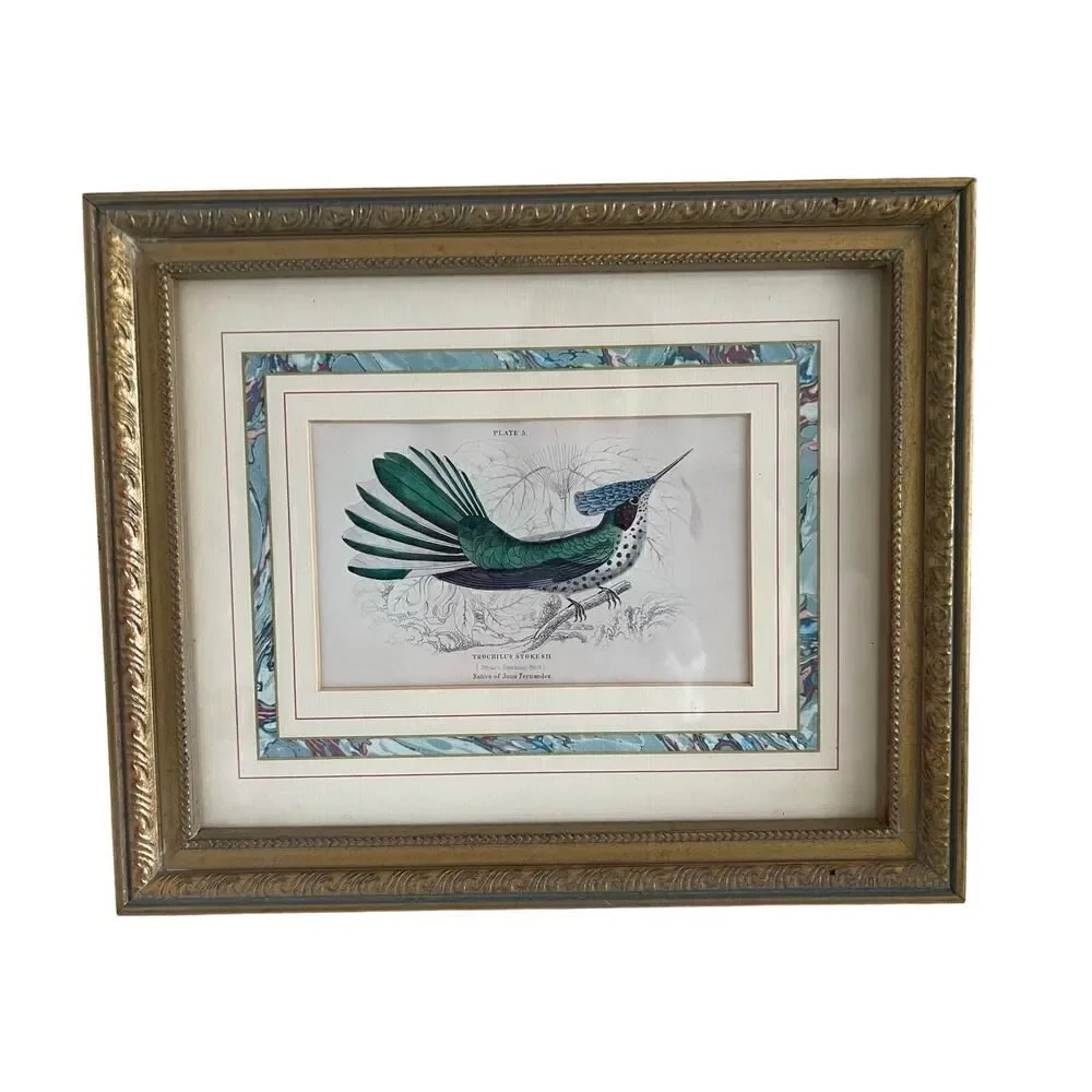 Stokes Hummingbird Print | Plate 5 by William Jardine | Framed 9.5x11.5 inch